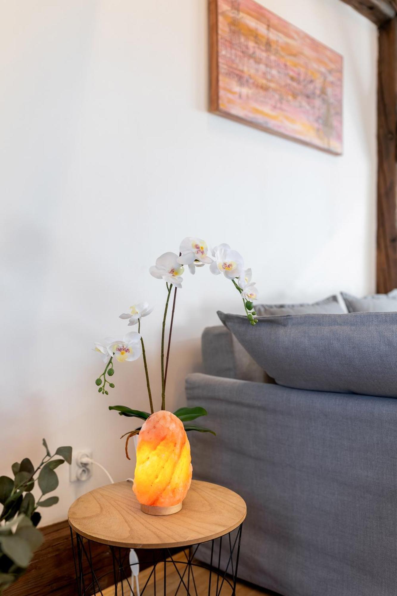 Apartment With Entresol Old Town كراكوفيا المظهر الخارجي الصورة